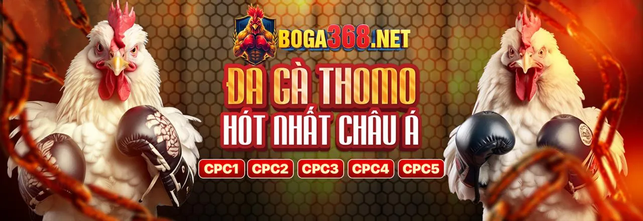Đội ngũ hỗ trợ khách hàng chuyên nghiệp của Nowgoal đăng ký